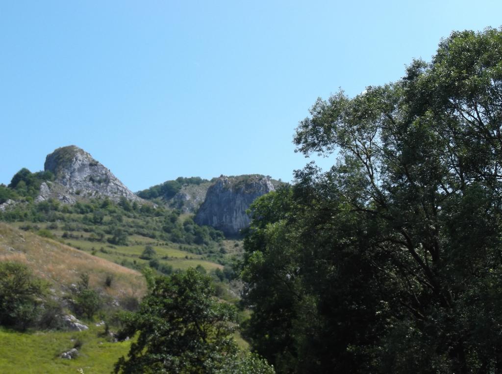 Studiouri Valisoara Cameră foto