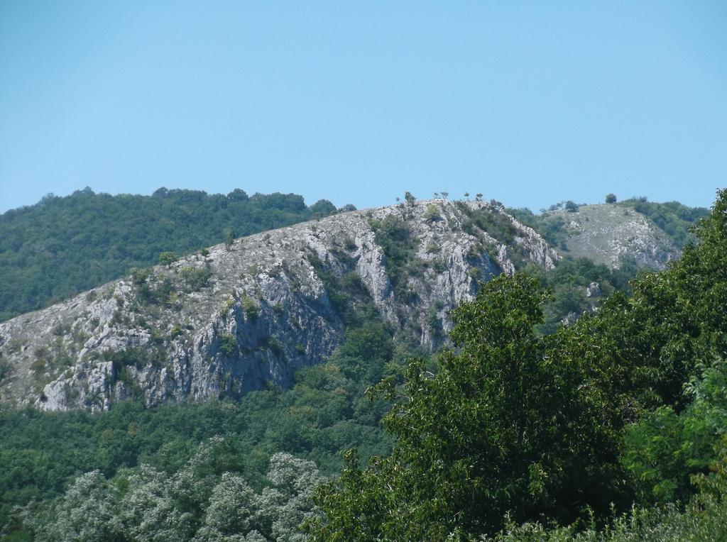 Studiouri Valisoara Cameră foto